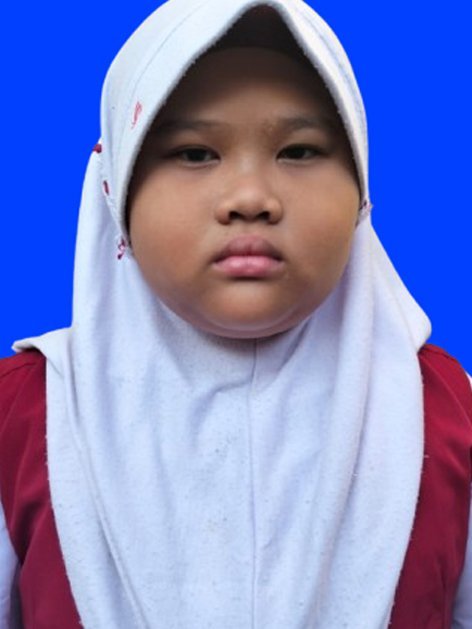 Preview Berkas