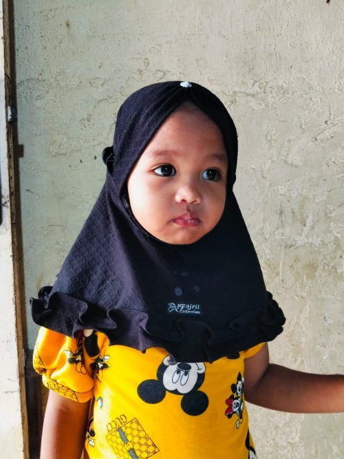 Preview Berkas